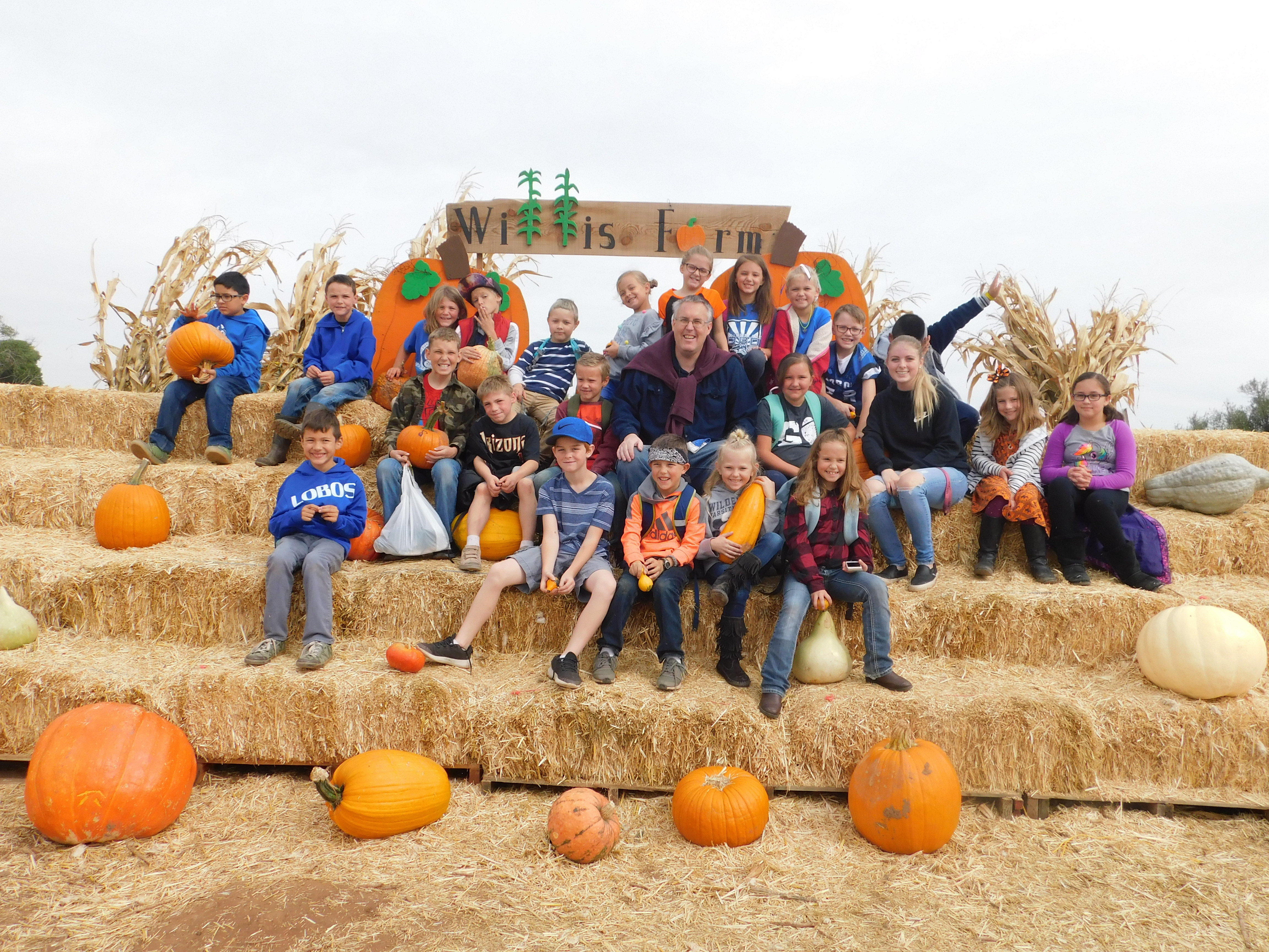 Pumpkin Patch