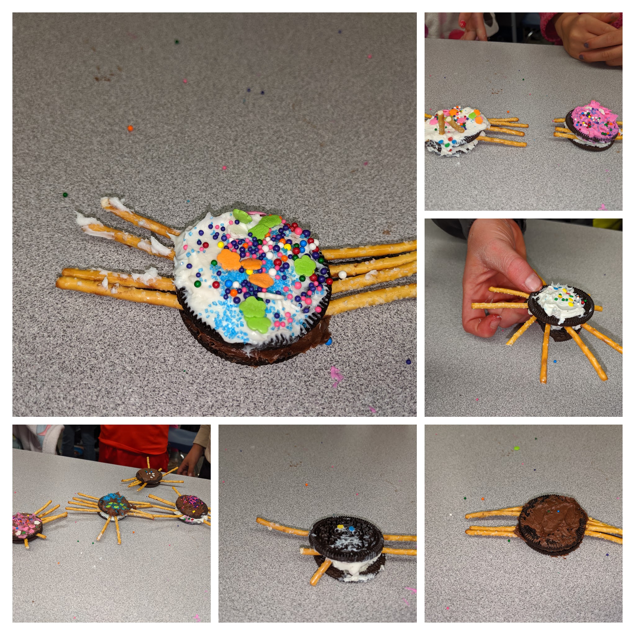spider cookies