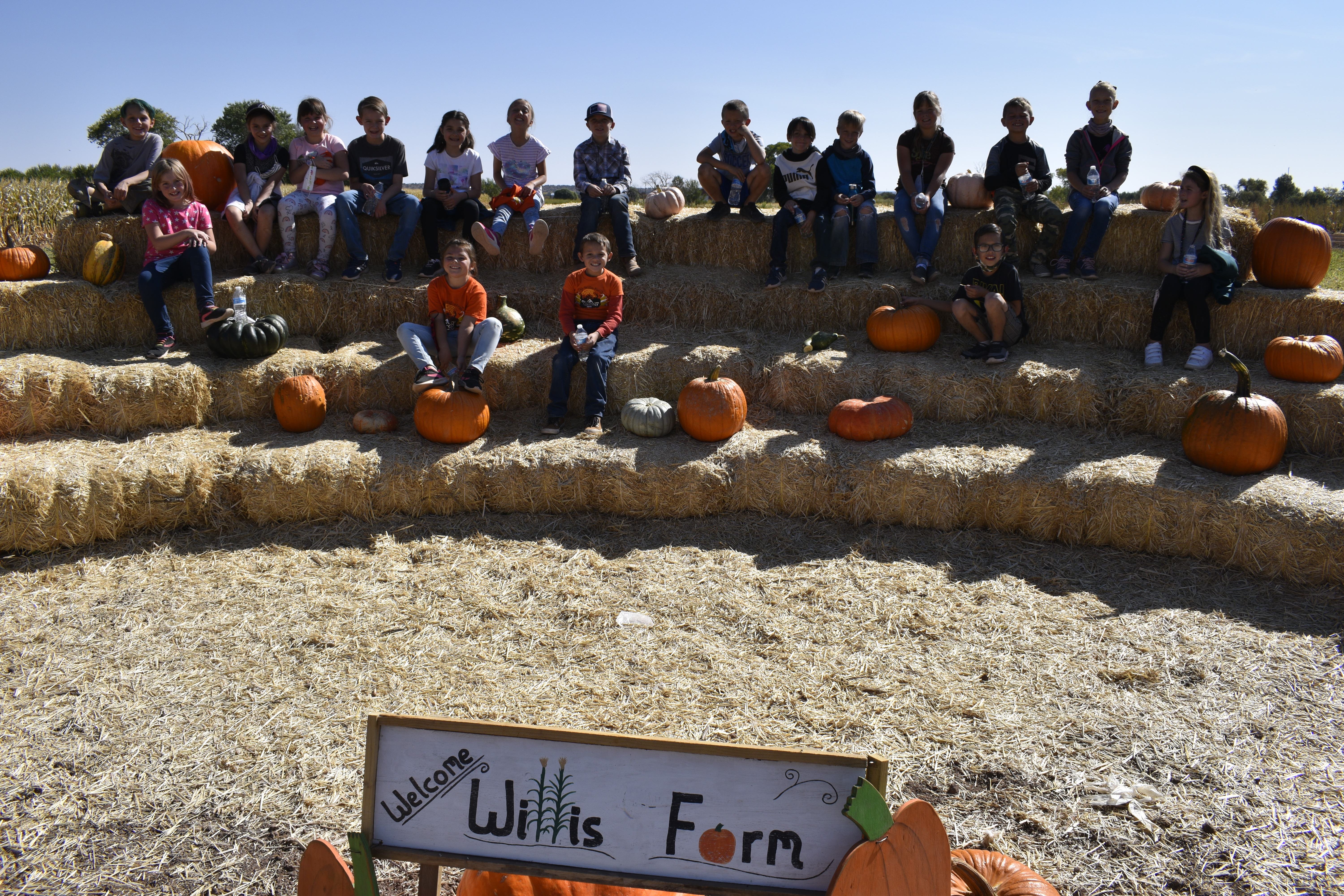Pumpkin Patch 1