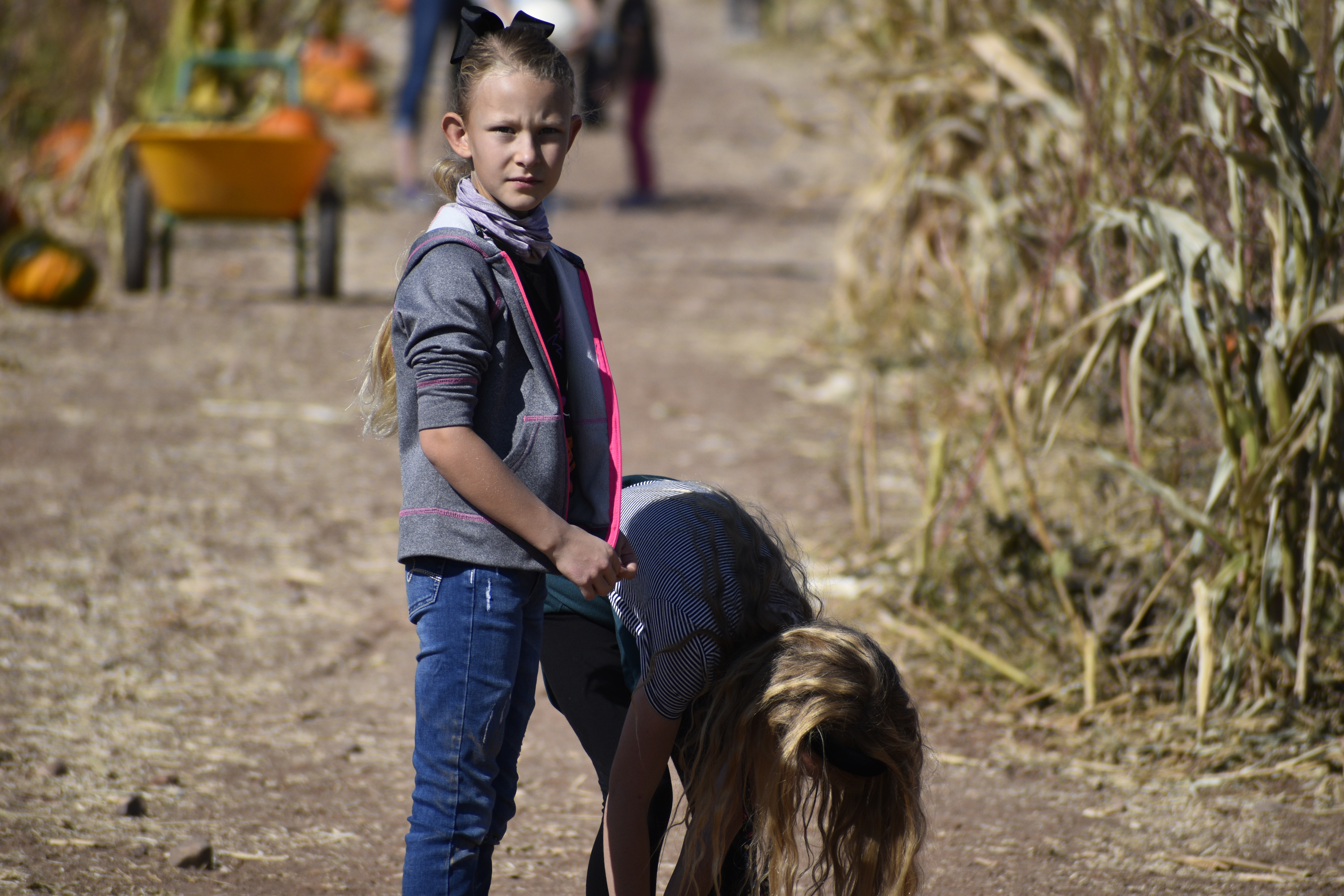 Pumpkin Patch 1