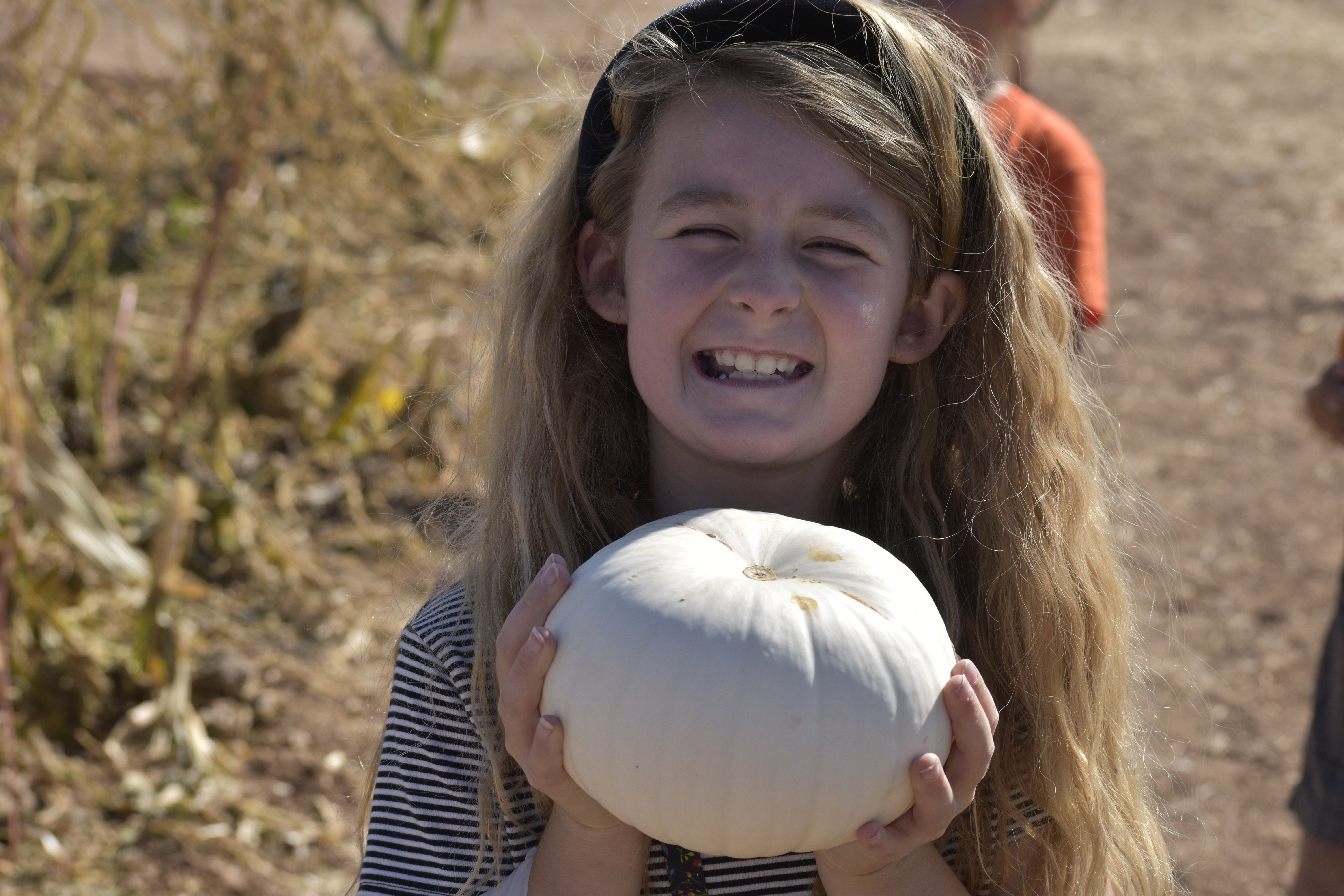 Pumpkin Patch 1