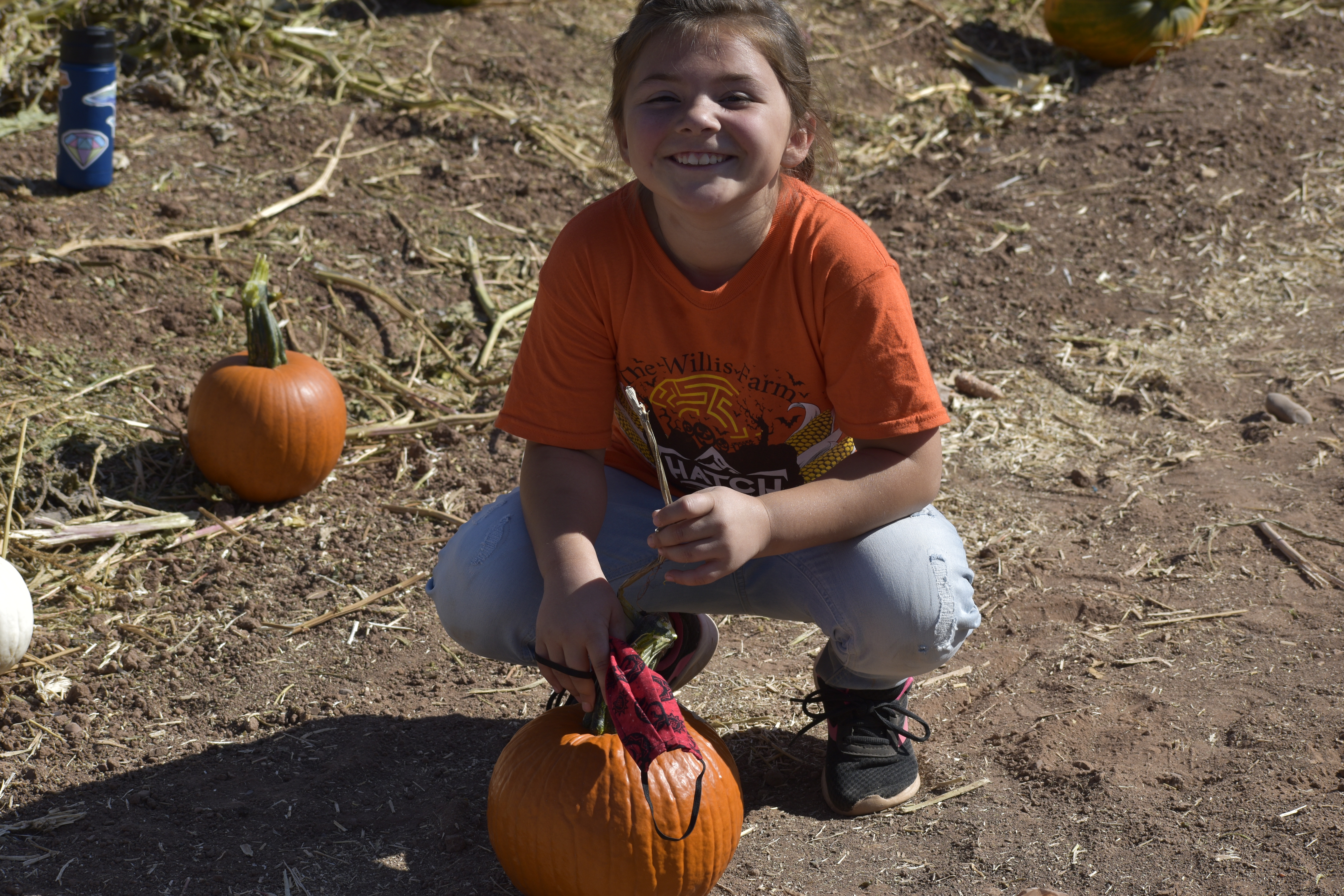 Pumpkin Patch 1