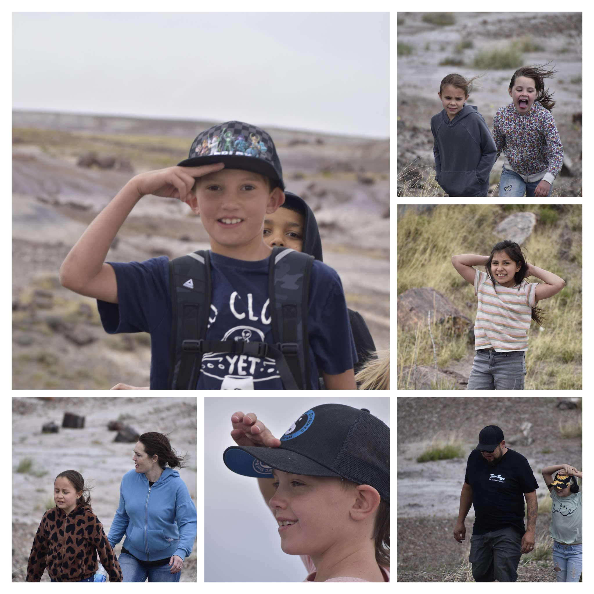 petrified forest 2