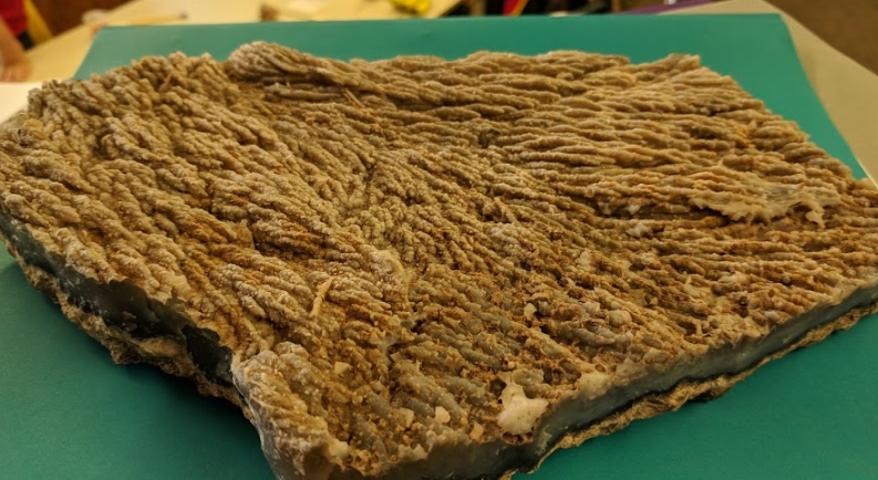 sedimentary rock