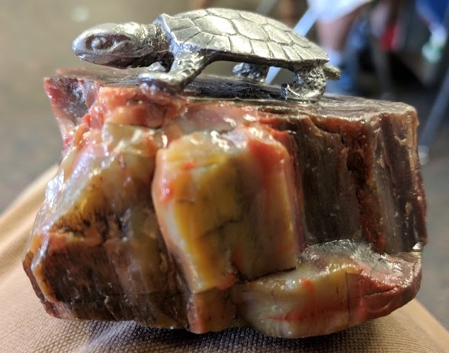 petrified wood turtle