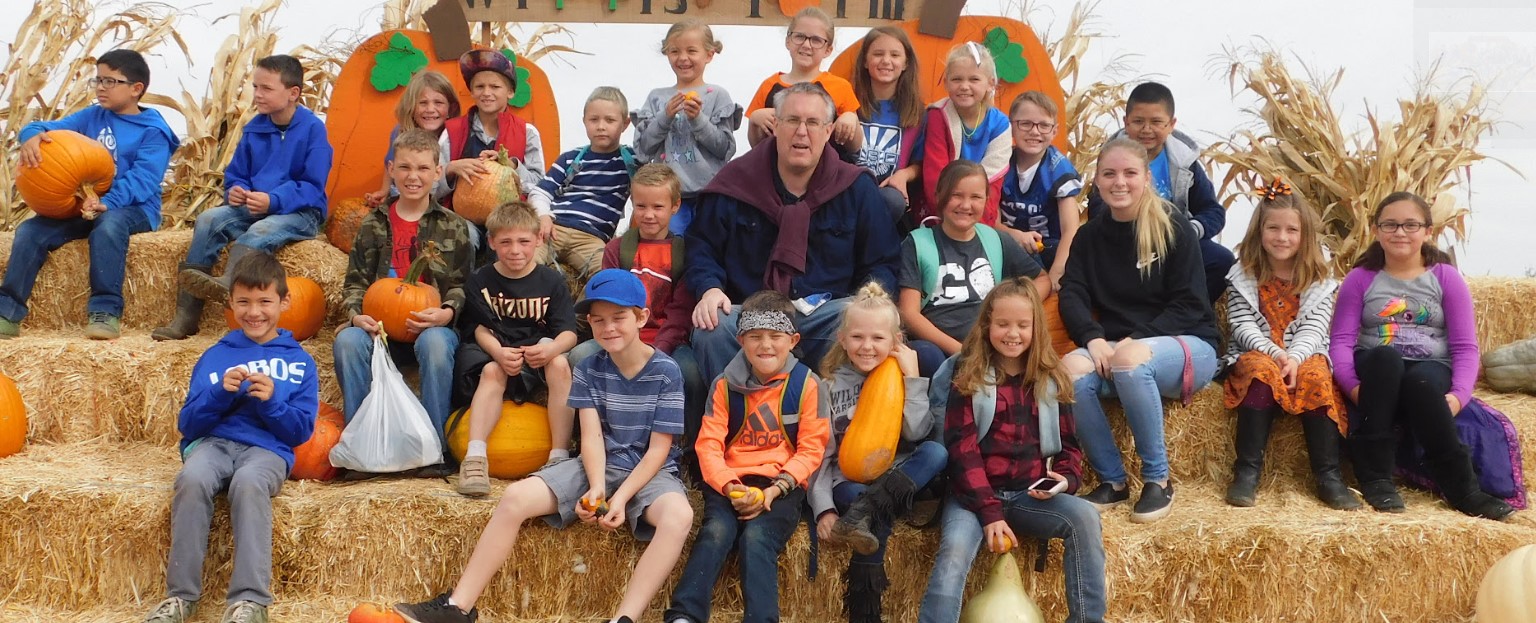 pumpkin patch