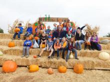Pumpkin Patch