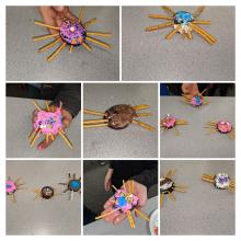 spider cookies