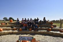 Pumpkin Patch 1