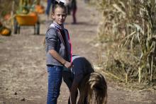 Pumpkin Patch 1