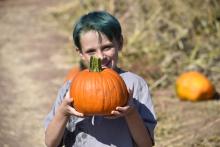 Pumpkin Patch 1