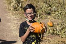 Pumpkin Patch 1