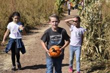 Pumpkin Patch 1