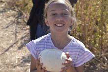 Pumpkin Patch 1