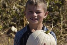 Pumpkin Patch 1