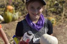 Pumpkin Patch 1