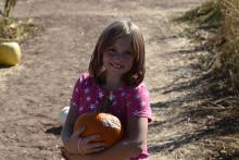 Pumpkin Patch 1