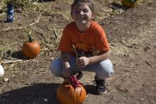 Pumpkin Patch 1