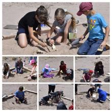 fossil dig