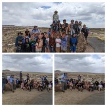 petrified forest