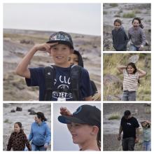 petrified forest 2